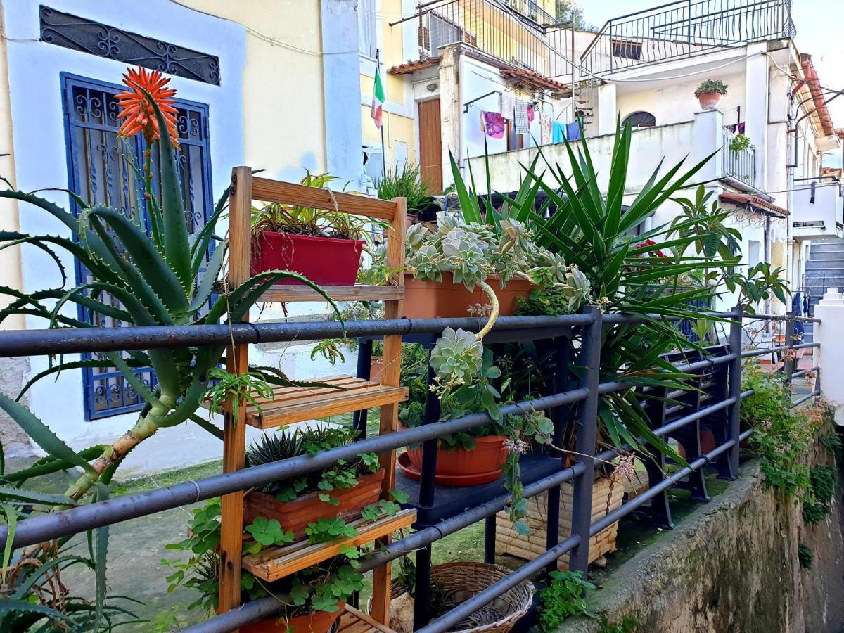 2 Bed Apartment In The Historical Center Pizzo Pizzo  Exterior foto